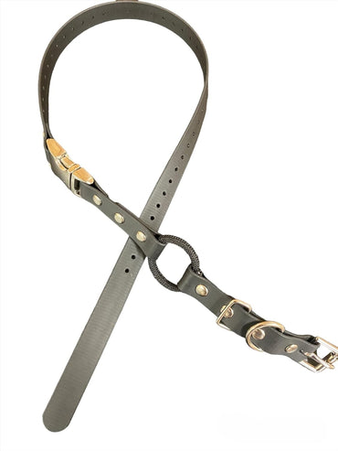 1900S Remote Dog Training Collar with Free Quick Snap Bungee Collar