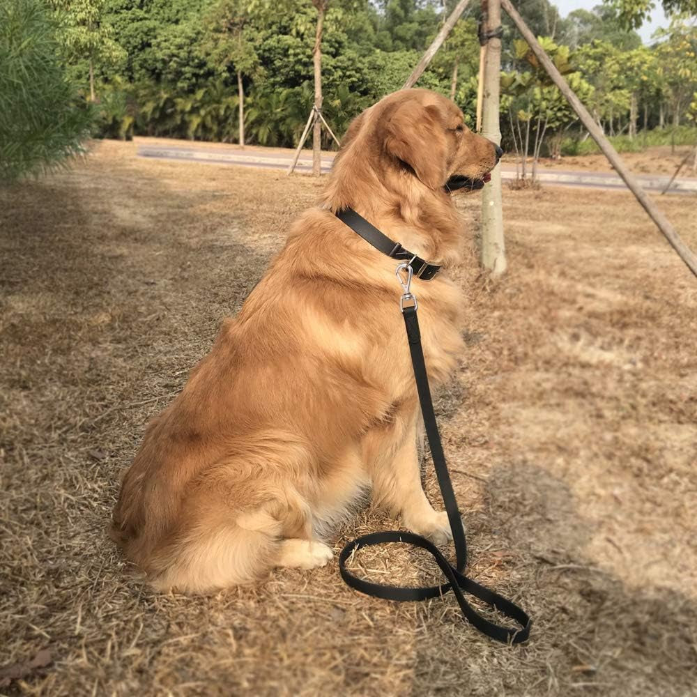 Waterproof Dog Training Leash 50FT 30FT 15FT 10FT 5FT Heavy Duty Recall Long Lead for Large Medium Small Dogs (5FT, Black)