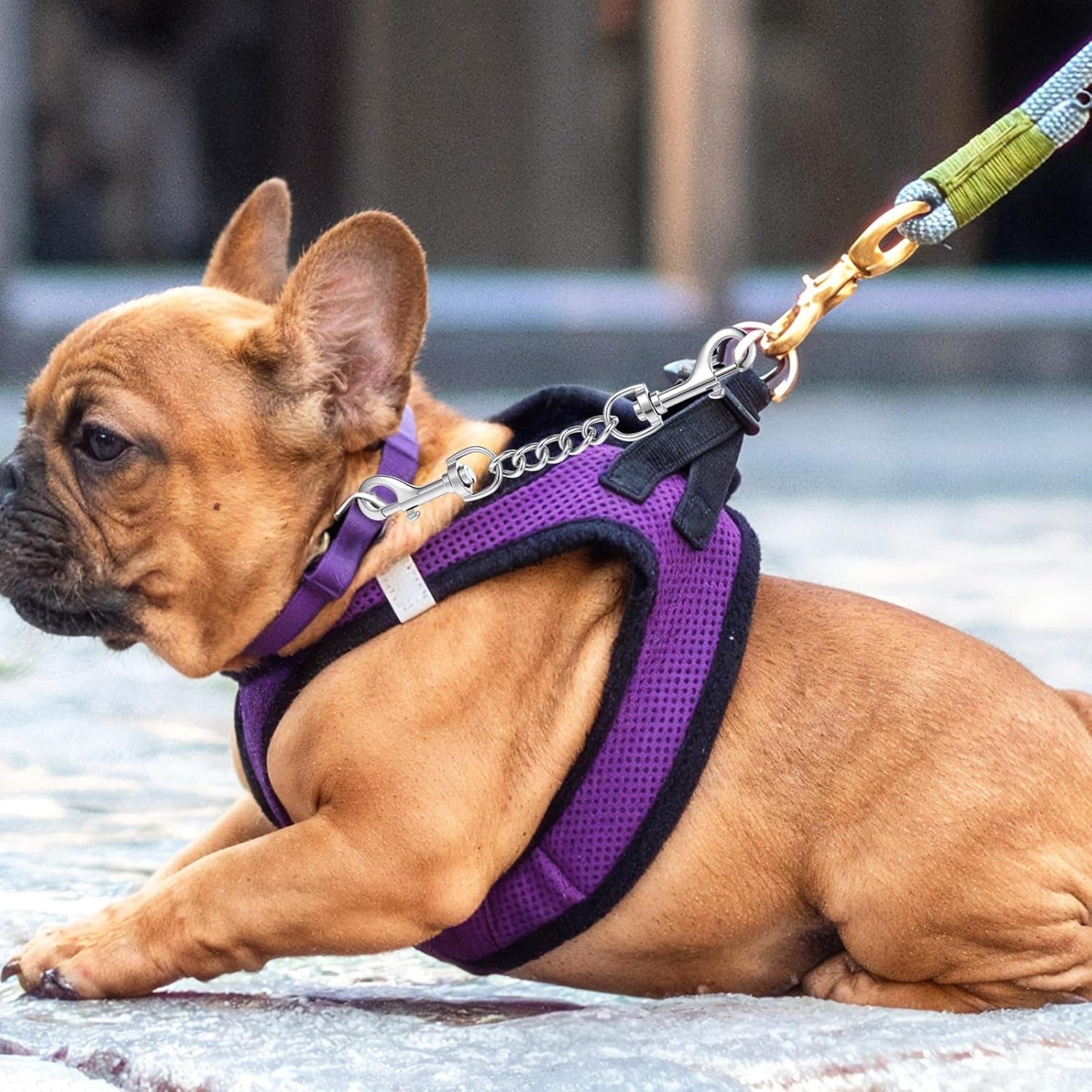 Prong Collar Safety Clip Stainless Steel Safety Clip for Prong Collar 7.5 Inches Silver Dog Harness Collar Leash Connector