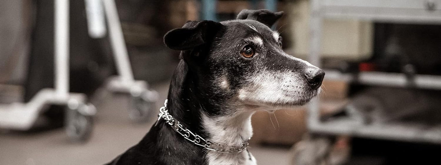 Stainless Steel Prong Dog Training Collar with Swivel Ultra-Plus Pet Pinch Collar No-Pull Collar for Dogs Made in Germany 4Mm X 25In Large