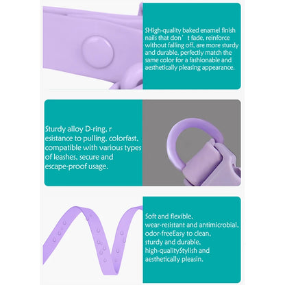 Cp442--Waterproof PVC Pet Dog Collar, anti Fouling and Waterproof Lightweight Collar, Use Double Row Rivets for Large Sizes