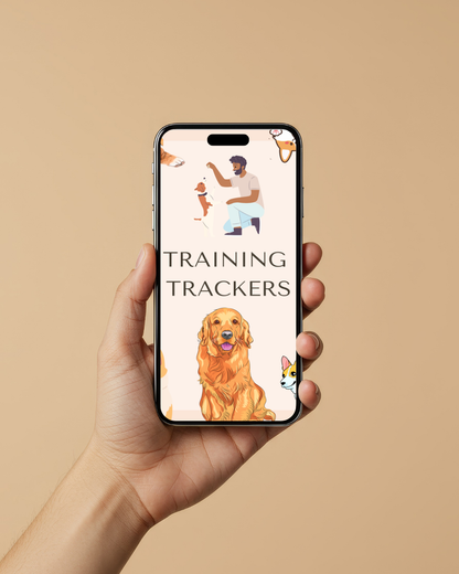 Stop leash pulling & chaos: A proven system to calm walks & confident dogs