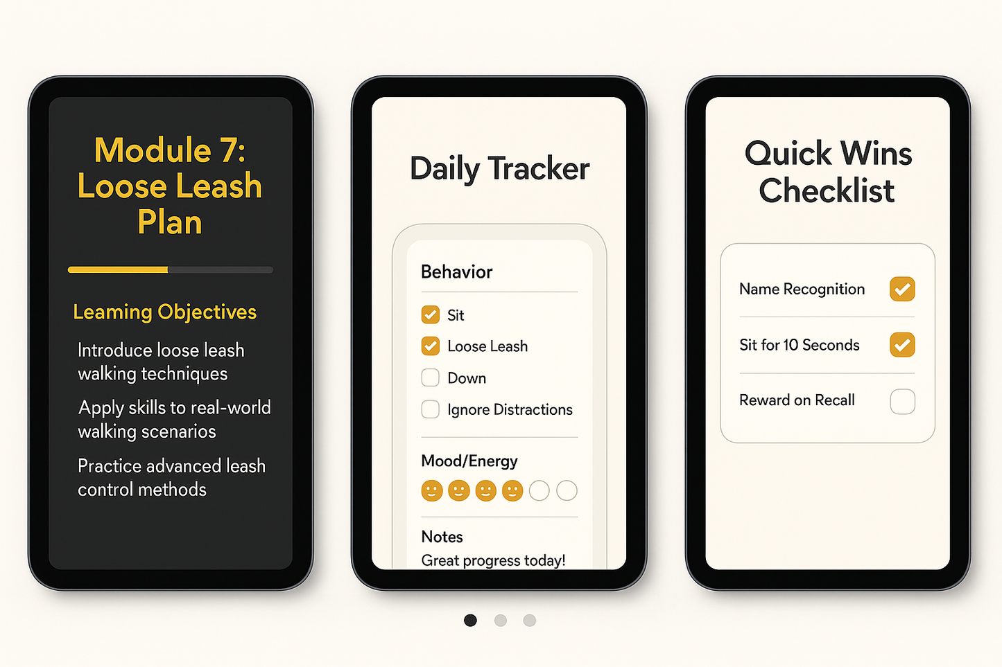 Stop leash pulling & chaos: A proven system to calm walks & confident dogs