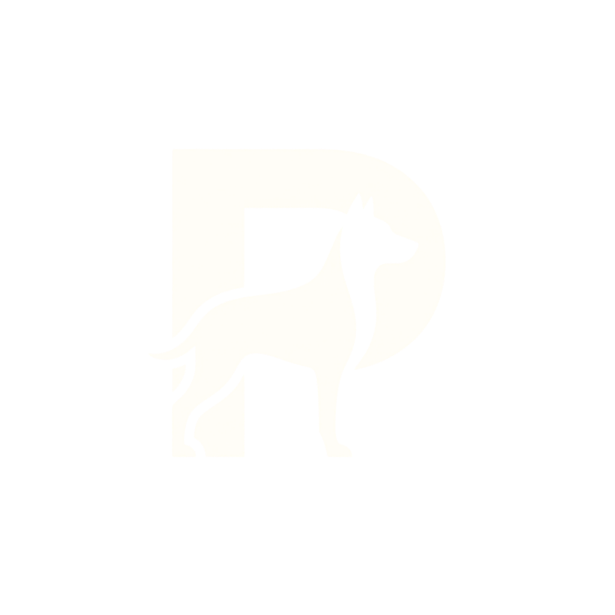 Paw Oasis