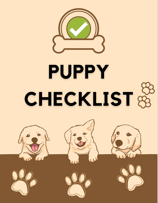 Stop leash pulling & chaos: A proven system to calm walks & confident dogs