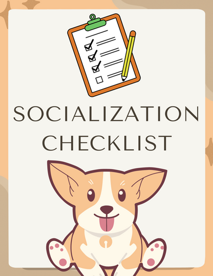 Stop leash pulling & chaos: A proven system to calm walks & confident dogs