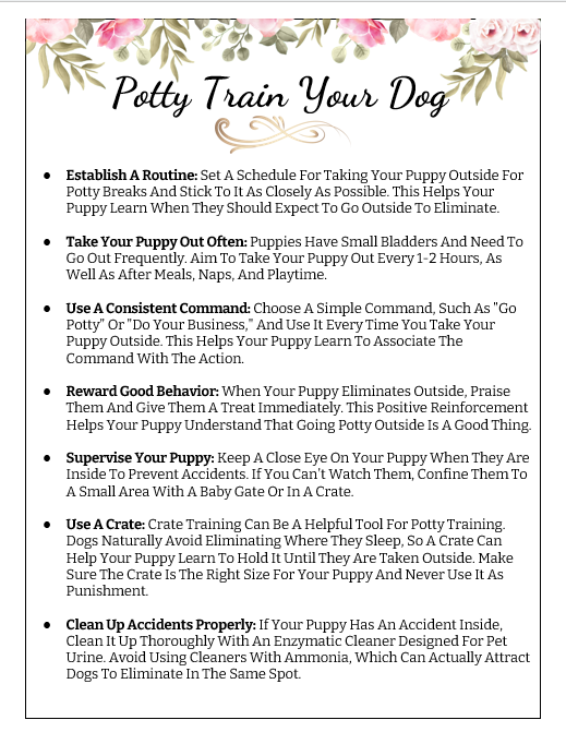 Stop leash pulling & chaos: A proven system to calm walks & confident dogs