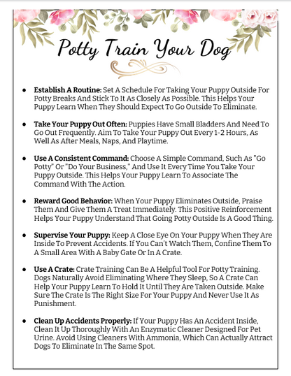 Stop leash pulling & chaos: A proven system to calm walks & confident dogs