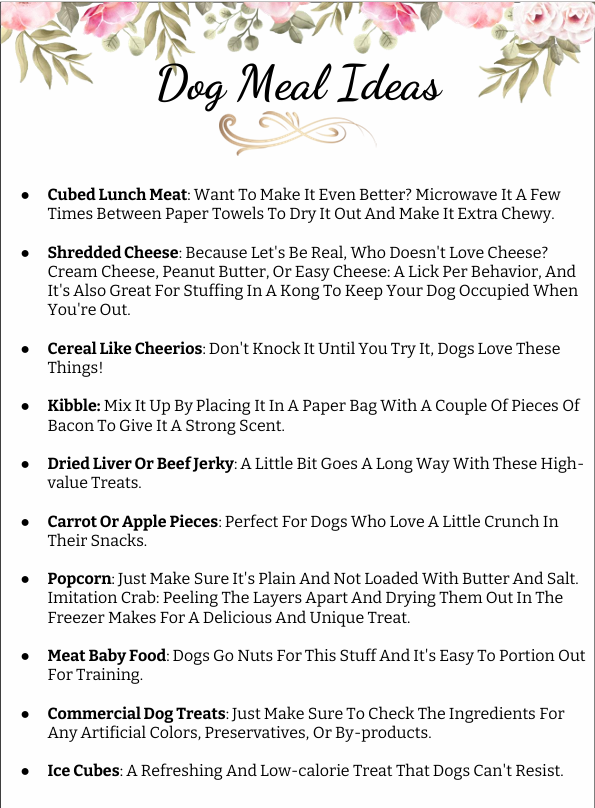 Stop leash pulling & chaos: A proven system to calm walks & confident dogs