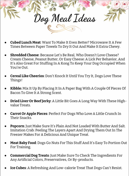 Stop leash pulling & chaos: A proven system to calm walks & confident dogs