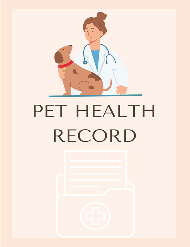 Stop leash pulling & chaos: A proven system to calm walks & confident dogs