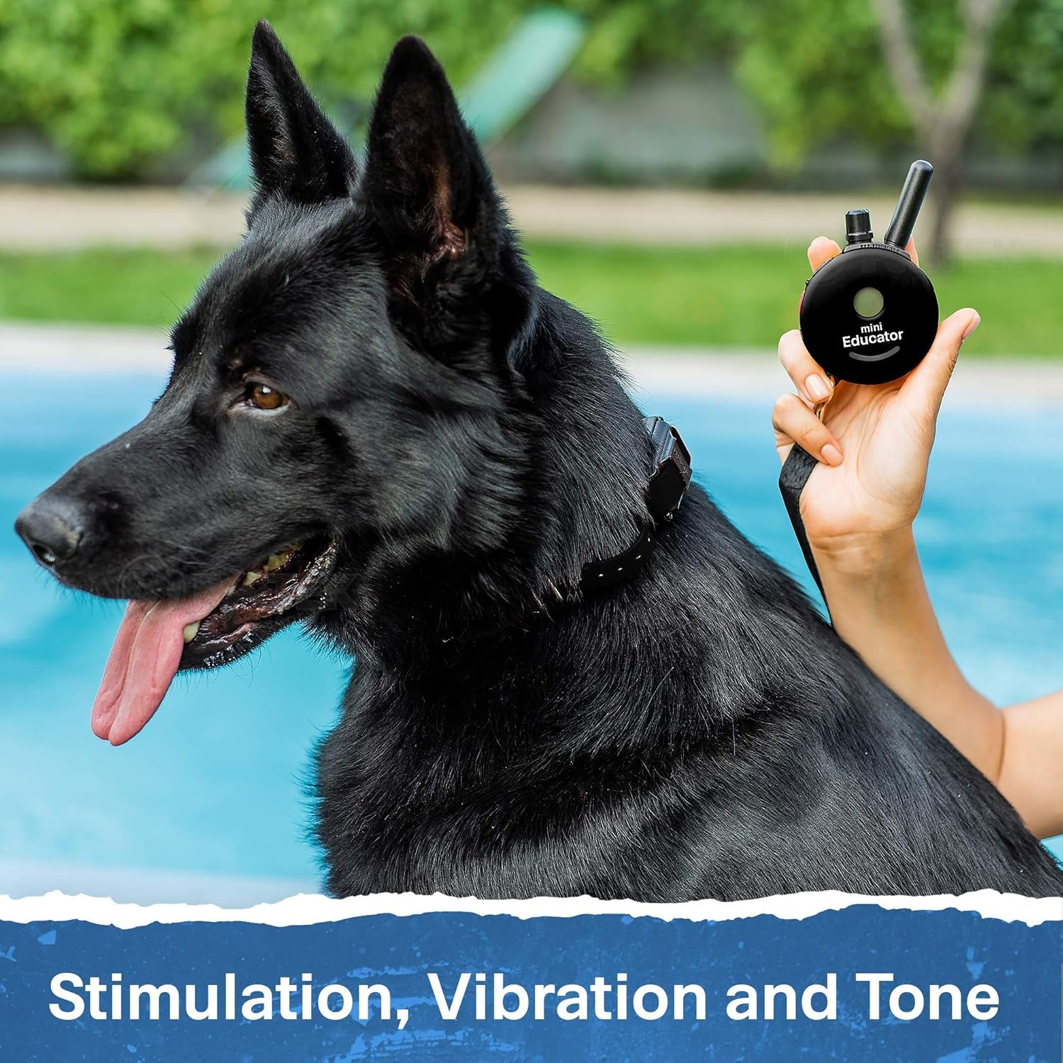 - ET-300 Black - Ecollar Dog Training Collar with Remote Control - 1/2 Mile Range, Waterproof, Rechargeable, 100 Training Stimulation Levels, Vibration and Tone W/Petstek Training Clicker
