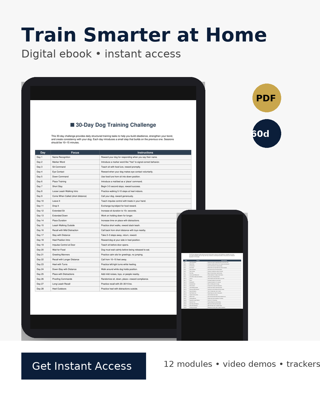 Stop leash pulling & chaos: A proven system to calm walks & confident dogs